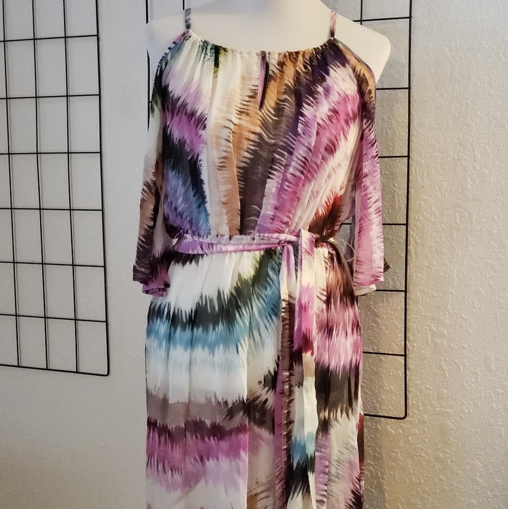 Anthropologie Pinkerton Large Sheer Dress